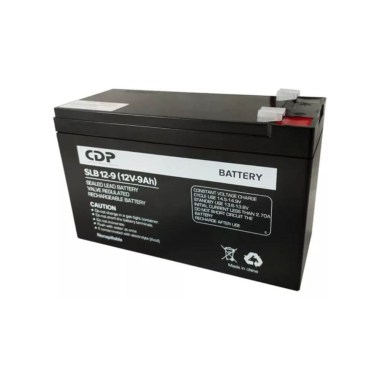 CDP169 (1)